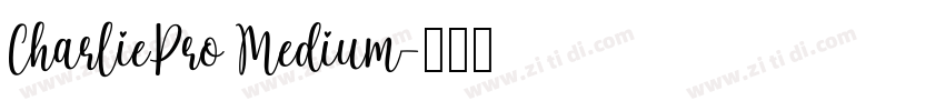 CharliePro Medium字体转换